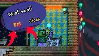 I pet a dog in Terraria!