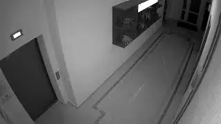 01010000968000401