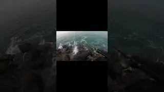 ここ最近のサクラマスのヒットパターンよー🐟