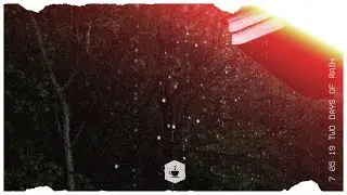 Native Species - Two Days of Rain