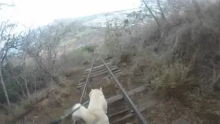 Koko Head Stairway Hike