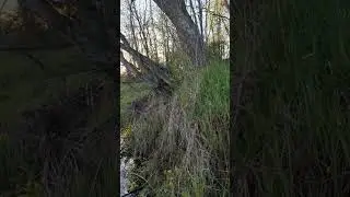 Отдых для души!!!