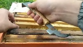 в этой семье все хорошо