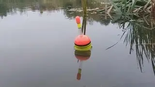 ЩУКА НА ЖИВЦА. ЛОВЛЯ ЩУКИ НА ПОПЛАВОК ОСЕНЬЮ.