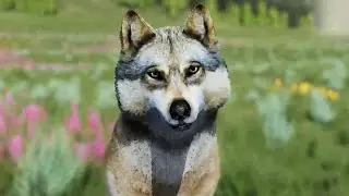 Apple's 3rd litter pup reveal | Mini Pack | WolfQuest Anniversary Edition
