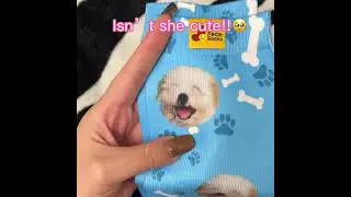 Custom Pet Socks