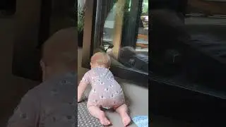 Льовчік повзає на балконі