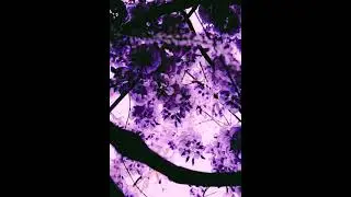 [FREE FOR PROFIT] The Kid LAROI x Juice WRLD Type Beat - "Bleach"