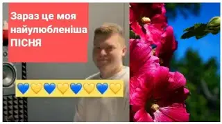Нiч яка місячна, зоряна, ясная!