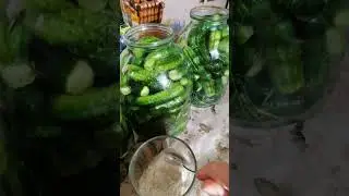Огурцы квашеные с мукой. На зиму. Не перекисают.