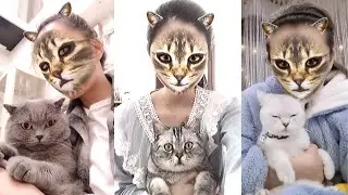 Cats reaction to cat filter - Cute & Funny Cat Videos Compilation
