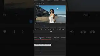 CHANGE SKY COLOR IN PREMIERE PRO | Under A Minute 