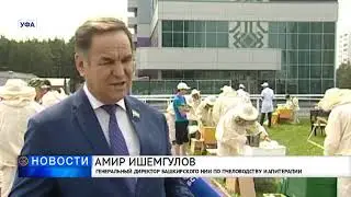 РЕГИОНАЛЬНЫЙ КОНКУРС ПЧЕЛОВОДОВ В УФЕ
