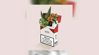 [FREE] Central Cee x Melodic Type Beat - 
