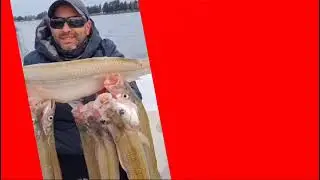 ! QUÉ PESCON EN EL RÍO DE LA PLATA! #pejerrey #fishing #pesca #rio #pesqueria #pescadepejerrey