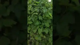 4 часть "Поезда" #shorts