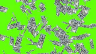 4K Free Money Rain Fall Animation on Green Screen