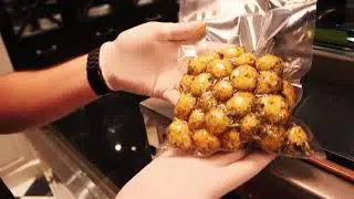 Machine sous-vide Orved 315 #1 Français