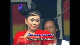 Wiwik Sagita - Oplosan