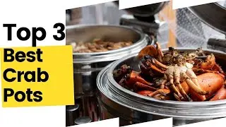 3 Best Crab Pots, According To Kitchen Experts in 2023