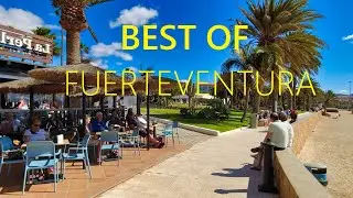 BEST OF FUERTEVENTURA SPAIN 2026 🇪🇸 🔴[4K UHD]