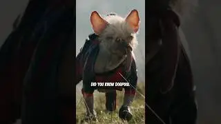 Dogpool's tragic comic origin