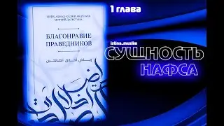 1.СУЩНОСТЬ НАФСА.(1глава)