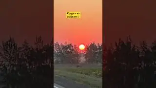 Двойник А4😂👉❤️(рыба в пруду)￼ #детские #песенки #kolyatos #юмор
