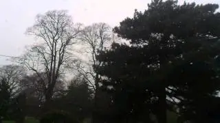 Snow