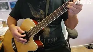 Jaguar God, Mastodon ACOUSTIC Cover by Blazing Vids!!
