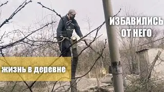 ХУТОР на самом ЮГЕ РОССИИ | НАША ЖИЗНЬ в деревне 