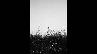 (FREE) Joji x Lofi x Alternative Type Beat 