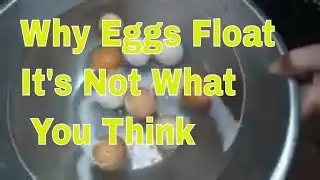 🥚🌊 Why Do Eggs Float? It's Not What You Think! #ScienceExplained #EggFloatation 🤔