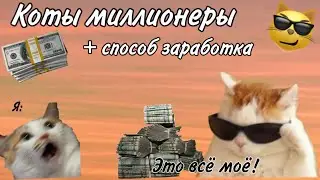 Самые богатые коты/коты миллионеры. + Как они заработали