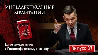 Интеллектуальные медитации. Видеокомментарий к Психософическому трактату: выпуск 37