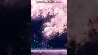 Обои для телефона