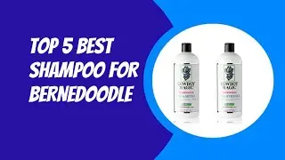 TOP 5 BEST SHAMPOO FOR BRANEDOODLE 2023