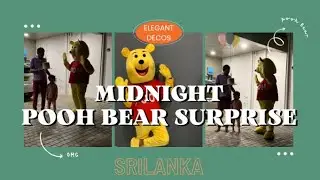 Midnight Pooh Bear Surprise Srilanka 🇱🇰 #birthdaysurprise #poohbearsurprise
