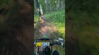 🌳🏍️ 