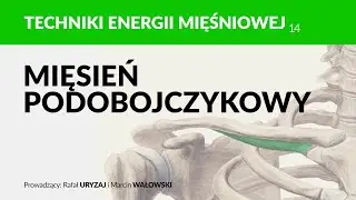 Mięsień podobojczykowy. Terapia i autoterapia. Techniki energii mięśniowej. Odcinek 14