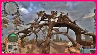 Редкий артефакт колобок и Соснодуб. СТАЛКЕР. Зов Припяти. STALKER. Call of Pripyat. 6
