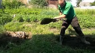 Закапываем старый колодец.