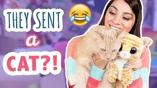 Unboxing YOUR Squishy Packages | More Squishy Makeover Victims