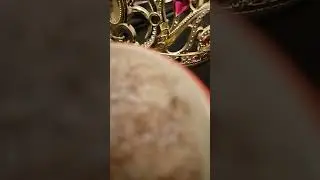 думки за души павших лебедей