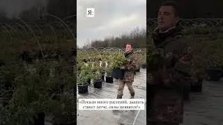 23 ноября 2023 г.