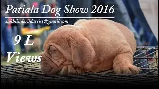 Patiala Dog Show 2016