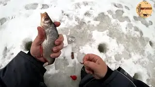 Ход плотвы.Рыбалка. Сamping ,fishing,bushcraft,