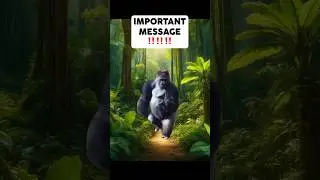 Very serious PSA 🤯