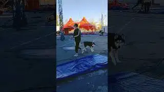 Прощай Архангельск нам пора ехать дальше