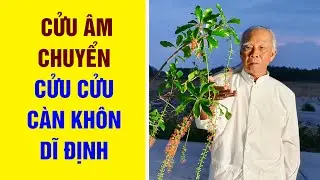 Cửu Âm Chuyển: Cửu Cửu Càn Khôn Dĩ Định